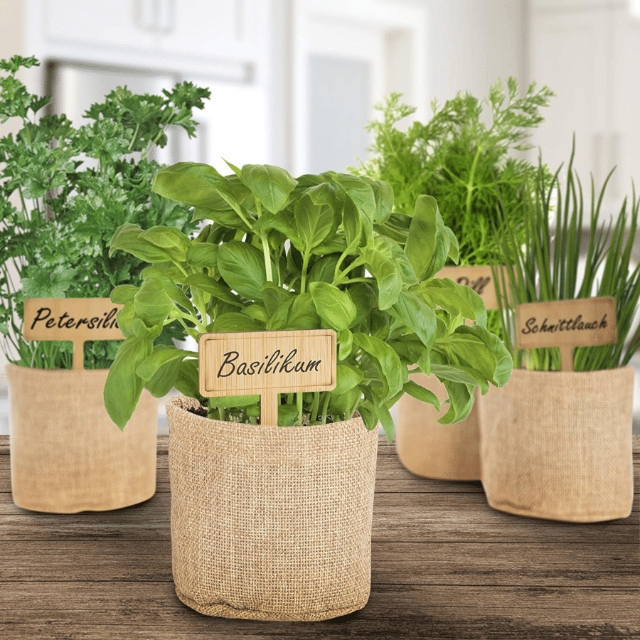 Geschenksets Küchenkräuter